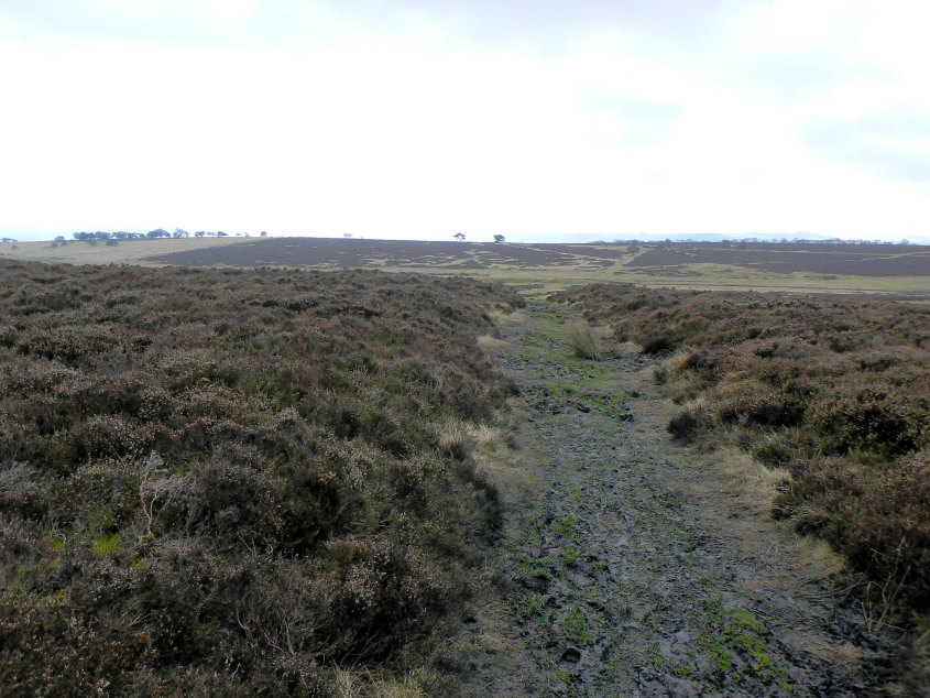 Longstone Moor Longstone Moor